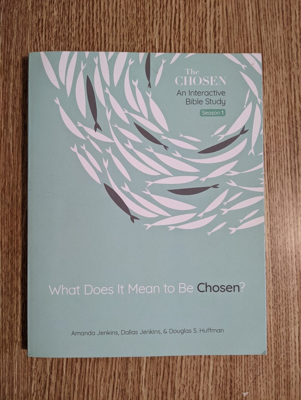 THE CHOSEN Bible Study Season 1 New